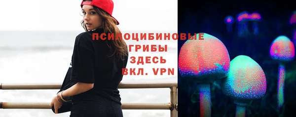 дмт Алексин