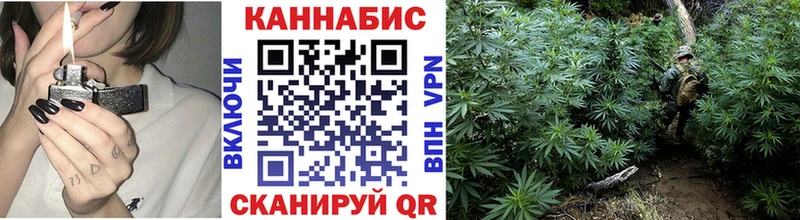 Бошки марихуана Amnesia  Кирс 